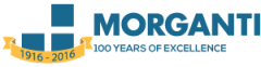 Morganti Group Inc