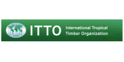 International Tropical Timber Organization (ITTO)