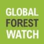 Global Forest Watch (GFW)