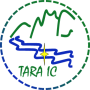 TARA International Consulting