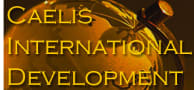 Caelis International Development