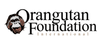 Orangutan Foundation International