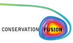 Conservation Fusion