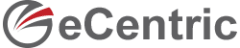 e-Centric Solutions