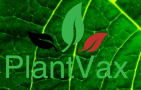 PlantVax Inc.
