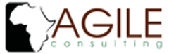 Agile Africa