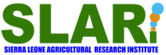 Sierra Leone Agricultural Research Institute (SLARI)