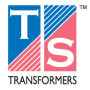 TS Transformers