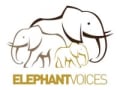 ElephantVoices