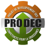 Skills Development for Growth Project (PRODEC) (Niger)