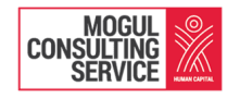 Mogul Consulting Service