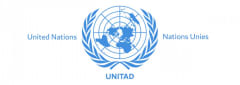 United Nations Investigative Team to Promote Accountability for Crimes Committed by Da'esh/ISIL (UNITAD)