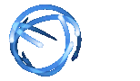 Digital Cooperation Organization (DCO)