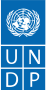 United Nations Development Programme United States (UNDP United States)