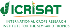 International Crops Research Institute for the Semi-Arid Tropics (ICRISAT)