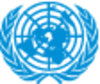 United Nations Department of Safety and Security (UNDSS)