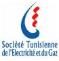 Tunisian Company of Electricity and Gas (Societe Tunisienne de l'Electricite et du Gaz - STEG)