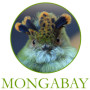 Mongabay.org Corporation