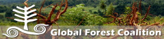 Global Forest Coalition