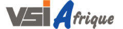 VSi Afrique (VSi Africa)