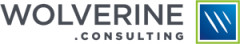 Wolverine.consulting