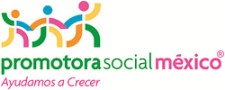 Promotora Social México (PSM)