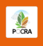 Project on Climate Resilient Agriculture (POCRA-Maharashtra)