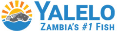 Yalelo Limited