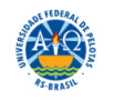 Universidade Federal de Pelotas (UFPel)
