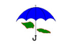 The Samoa Umbrella for Non-Governmental Organisations Inc. (SUNGO)