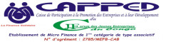 Caisse de Participation et de Promotion des Entreprises et a leur Developpement (CAPPED)