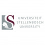 University of Stellenbosch