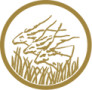 Bank of Central African States (BEAC)
