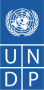 United Nations Development Programme South Africa (UNDP South Africa)