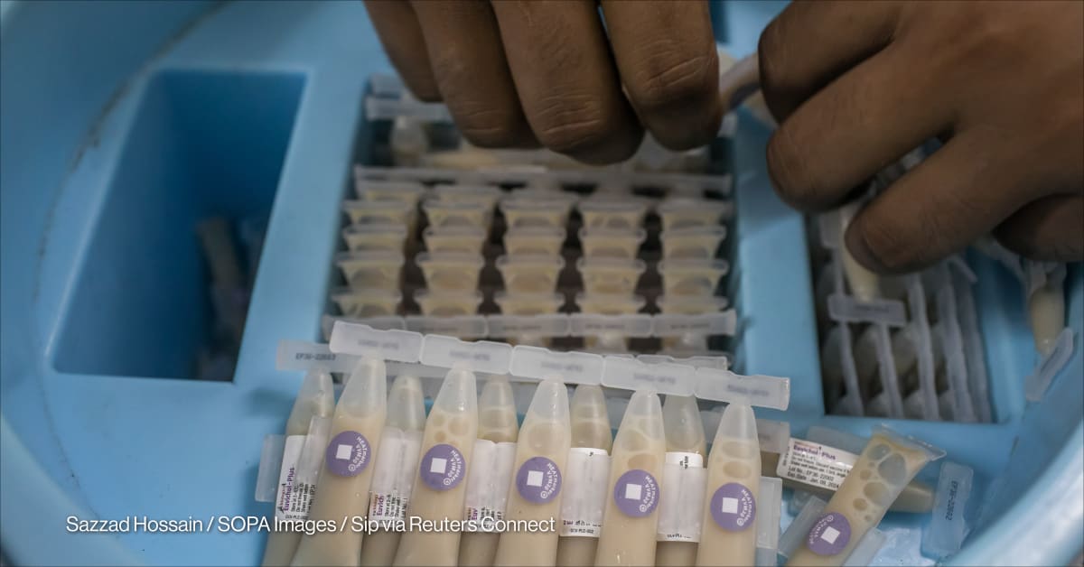 Cholera prevention campaigns resume after years of vaccine scarcity