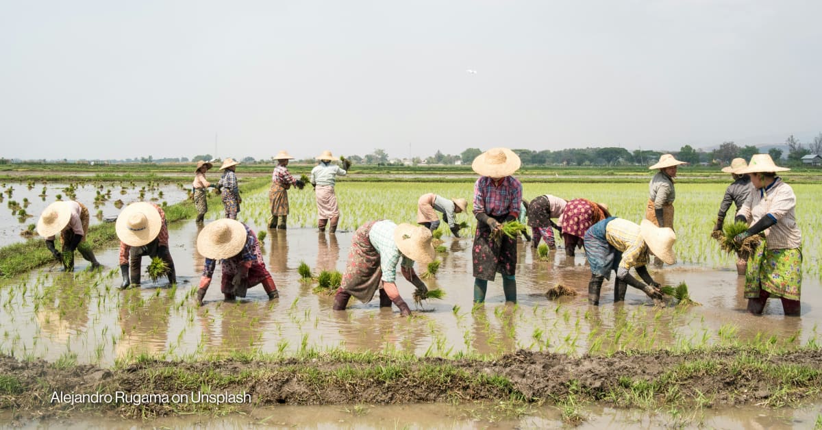 Collaborative philanthropy is taking off — here's why