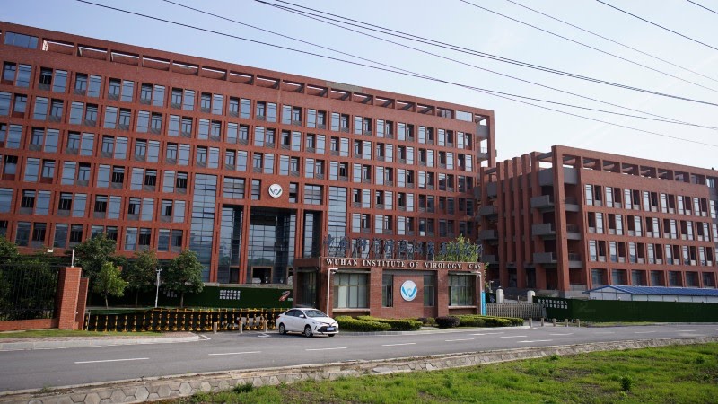 Wuhan COVID-19 virus lab leak ’extremely unlikely’: WHO mission head | Devex