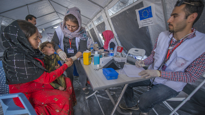 Humanitarian aid essay picture