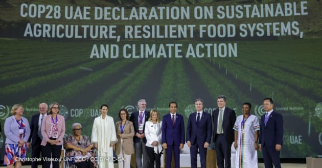 Inside COP 28  International Institute for Sustainable Development