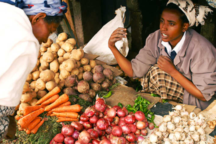 Recrutement Au Sein De L Afd Ce Qu Il Faut Savoir Devex
