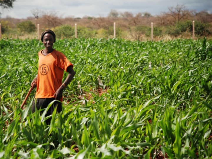 Securing Land Rights Of Smallholder Farmers The Secure Access To Land