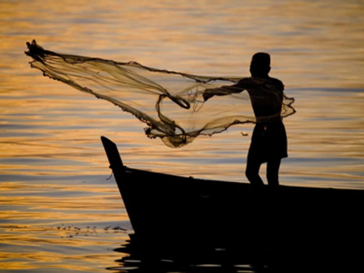 Transforming small-scale fisheries