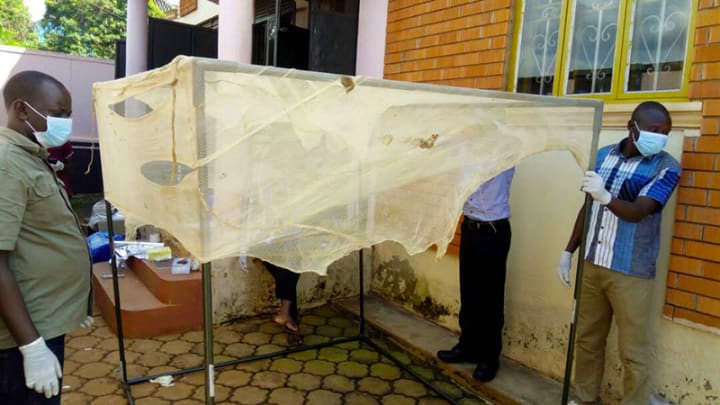 Malaria: New chemical formulation for bed nets shows promising results | Devex