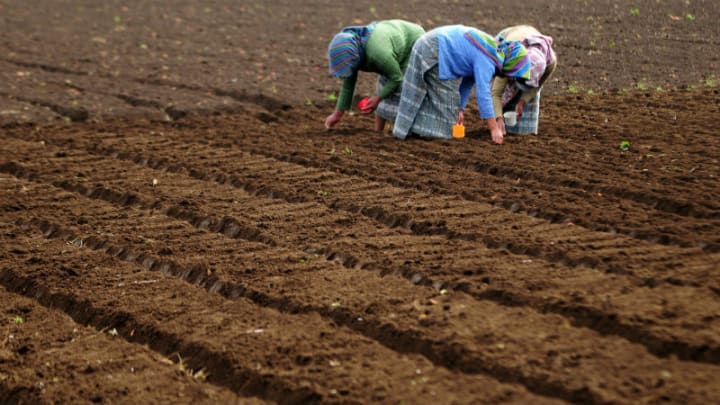 Experts say climate change threatens America's food supply. Can farmers in  the Mississippi Delta save it? - CBS News