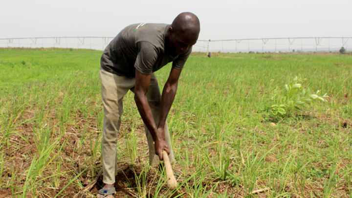 Smallholder Women Farmers See Improved Financial Independence with