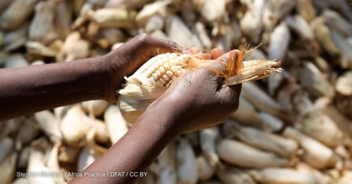 Opinion: Why reinvent the wheel on food security and nutrition?