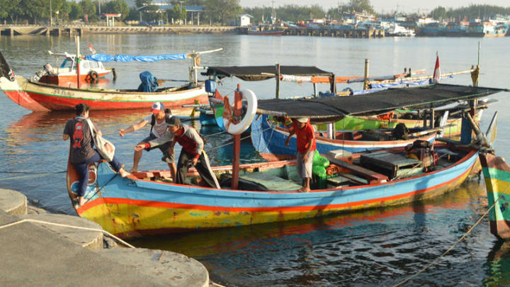 Connectivity matters for sustainable fishing in Indonesia | Devex