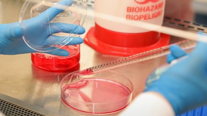 Devexplains Monoclonal Antibody Treatment For Covid 19 Devex