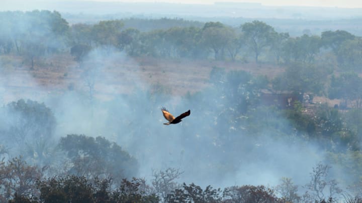 Opinion: Preventing next year’s climate crises