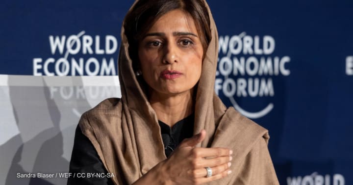 Image for Pakistan's Stance: A Reflection of Broader Muslim World Sentiment